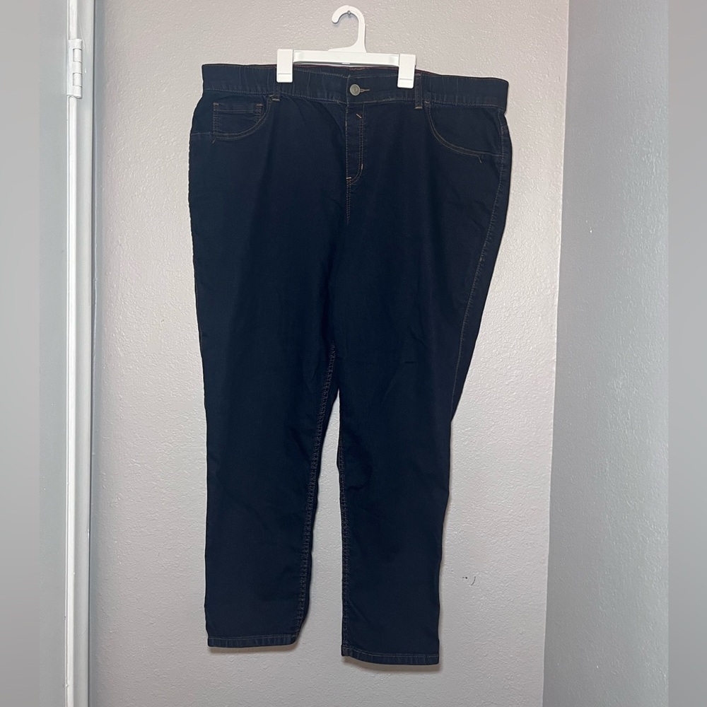 Lane Bryant Women Denim Skinny Jeans